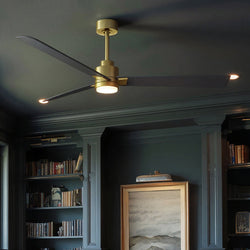 Urban Ambiance - Ceiling Fan - UMC9054 Glam Indoor/Outdoor Ceiling Fan, 8" (Plus Downrod) H x 56" W x 56" D, Brushed Brass Finish, Drifthelm Collection -