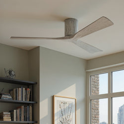 Urban Ambiance - Ceiling Fan - UMC9263 Minimalist Indoor/Outdoor Ceiling Fan, 10" H x 60" W x 60" D, Barn Wood Tone Finish, Aerwyn Collection -
