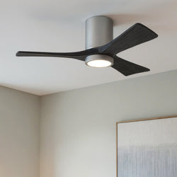 Urban Ambiance - Ceiling Fan - UMC9285 Contemporary Indoor/Outdoor Ceiling Fan, 12" H x 42" W x 42" D, Brushed Nickel Finish, Aerwyn Collection -