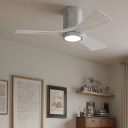 Urban Ambiance - Ceiling Fan - UMC9301 Modern Indoor/Outdoor Ceiling Fan, 12" H x 42" W x 42" D, Barn Wood Tone Finish, Aerwyn Collection -