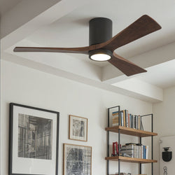 Urban Ambiance - Ceiling Fan - UMC9310 Minimalist Indoor/Outdoor Ceiling Fan, 12" H x 52" W x 52" D, Textured Bronze Finish, Aerwyn Collection -