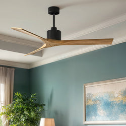 Urban Ambiance - Ceiling Fan - UMC9416 Contemporary Indoor/Outdoor Ceiling Fan, 12" (Plus Downrod) H x 60" W x 60" D, Matte Black Finish, Breecelyn Collection -