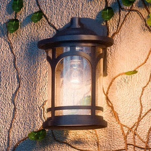 A gorgeous rustic lamp with ivy growing on its lighting fixture.