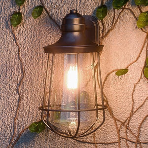 A unique and gorgeous Vintage Outdoor Wall Lamp from the San Francisco Collection with ivy growing on it.