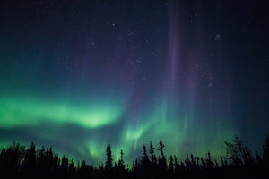 Northern by Nature: Alaskan Inspired Lighting for Your Home