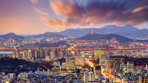 Seoul Style – Natural Harmony in a Modern Setting