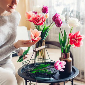 Bud, Bloom, Blossom: Bring Spring into Your Home