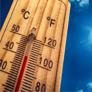 Heatwave Help - Choose the Right Ceiling Fan for Summer Comfort