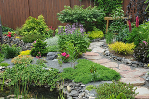 Naturally Beautiful Ways to Improve Your Landscape With Stone