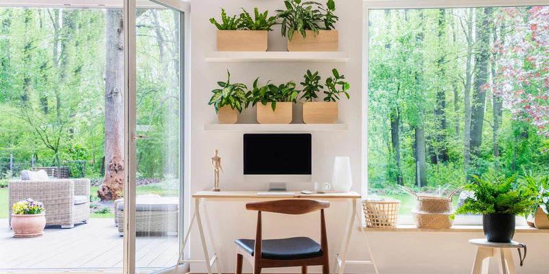 Reimagining Your Home: Simple Tips for Changing the Function of a Room ...