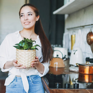The Perfect House Plants for 10 Kitchen Design Styles