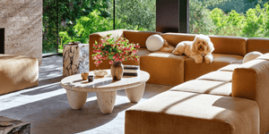 Transform Your Home into a Pet Paradise: 11 Must-Know Decor Tips