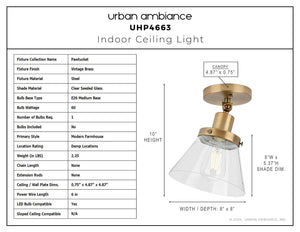 Urban Ambiance - Ceiling Light - UHP4663 Modern Farmhouse Indoor Ceiling Light, 10''H x 8