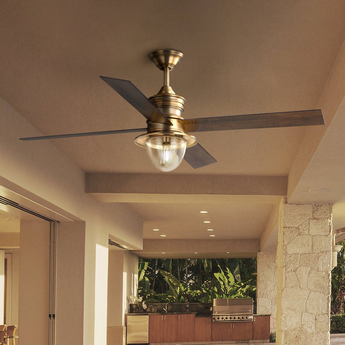UHP9430 Glam Indoor/Outdoor Ceiling Fan, 21-11/16''H x 56