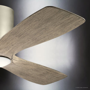 Urban Ambiance - Ceiling Fan - UKC90041 Contemporary Indoor Ceiling Fan, 10.5''H x 48''W x 48''Dep, Brushed Nickel Finish, Isalyn Collection - 