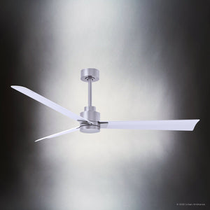 Urban Ambiance - Ceiling Fan - UMC9022 Scandinavian Indoor/Outdoor Ceiling Fan, 8