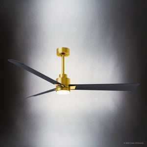 Urban Ambiance - Ceiling Fan - UMC9054 Glam Indoor/Outdoor Ceiling Fan, 8