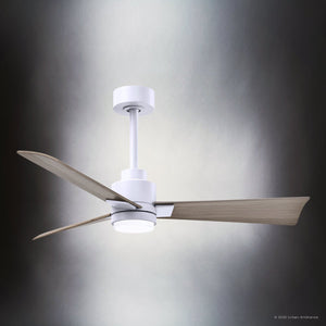 Urban Ambiance - Ceiling Fan - UMC9056 Modern Indoor/Outdoor Ceiling Fan, 8