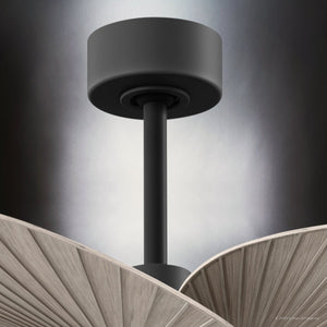 Urban Ambiance - Ceiling Fan - UMC9071 Modern Rustic Indoor/Outdoor Ceiling Fan, 8