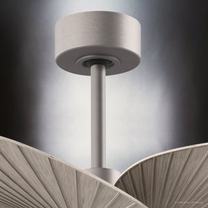 Urban Ambiance - Ceiling Fan - UMC9073 Bohemian Indoor/Outdoor Ceiling Fan, 8