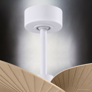 Urban Ambiance - Ceiling Fan - UMC9081 Scandinavian Indoor/Outdoor Ceiling Fan, 8
