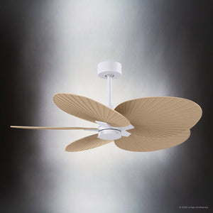 Urban Ambiance - Ceiling Fan - UMC9081 Scandinavian Indoor/Outdoor Ceiling Fan, 8