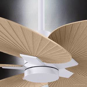 Urban Ambiance - Ceiling Fan - UMC9081 Scandinavian Indoor/Outdoor Ceiling Fan, 8