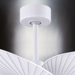 Urban Ambiance - Ceiling Fan - UMC9082 Scandinavian Indoor/Outdoor Ceiling Fan, 8