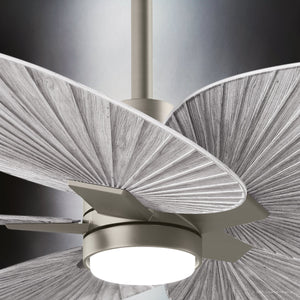 Urban Ambiance - Ceiling Fan - UMC9089 Bohemian Indoor/Outdoor Ceiling Fan, 8