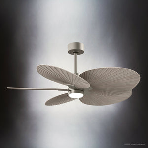 Urban Ambiance - Ceiling Fan - UMC9090 Casual Indoor/Outdoor Ceiling Fan, 8