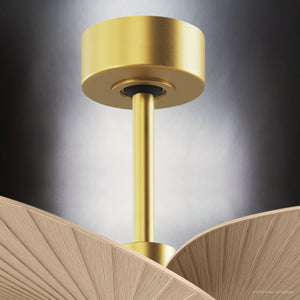 Urban Ambiance - Ceiling Fan - UMC9093 Casual Indoor/Outdoor Ceiling Fan, 8
