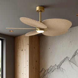 Urban Ambiance - Ceiling Fan - UMC9093 Casual Indoor/Outdoor Ceiling Fan, 8" (Plus Downrod) H x 48" W x 48" D, Brushed Brass Finish, Pelmere Collection - 