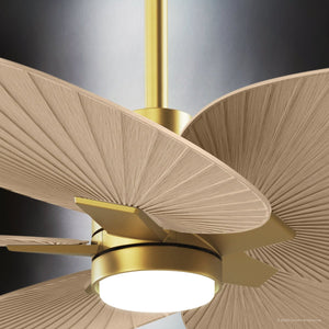 Urban Ambiance - Ceiling Fan - UMC9093 Casual Indoor/Outdoor Ceiling Fan, 8