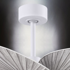 Urban Ambiance - Ceiling Fan - UMC9095 Natural Indoor/Outdoor Ceiling Fan, 8