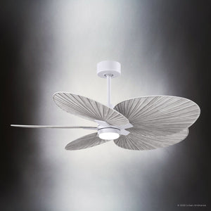 Urban Ambiance - Ceiling Fan - UMC9095 Natural Indoor/Outdoor Ceiling Fan, 8
