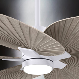 Urban Ambiance - Ceiling Fan - UMC9096 Scandinavian Indoor/Outdoor Ceiling Fan, 8