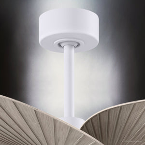 Urban Ambiance - Ceiling Fan - UMC9096 Scandinavian Indoor/Outdoor Ceiling Fan, 8