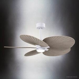 Urban Ambiance - Ceiling Fan - UMC9096 Scandinavian Indoor/Outdoor Ceiling Fan, 8