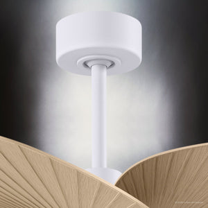 Urban Ambiance - Ceiling Fan - UMC9097 Farmhouse Indoor/Outdoor Ceiling Fan, 8