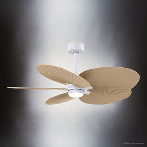 Urban Ambiance - Ceiling Fan - UMC9097 Farmhouse Indoor/Outdoor Ceiling Fan, 8