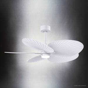 Urban Ambiance - Ceiling Fan - UMC9098 Modern Farmhouse Indoor/Outdoor Ceiling Fan, 8