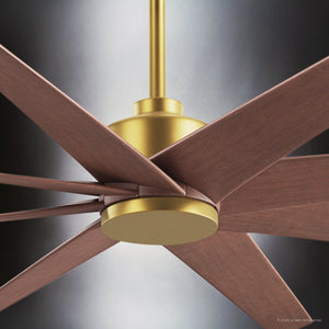 Urban Ambiance - Ceiling Fan - UMC9115 Transitional Indoor/Outdoor Ceiling Fan, 8.5