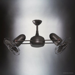 Urban Ambiance - Ceiling Fan - UMC9140 Americana Indoor/Outdoor Ceiling Fan, 14