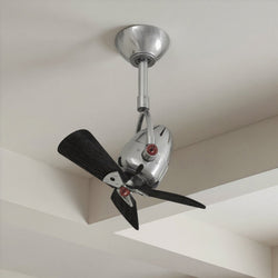 Urban Ambiance - Ceiling Fan - UMC9157 Colonial Indoor/Outdoor Ceiling Fan, 12" (Plus Downrod) H x 16" W x 16" D, Polished Chrome Finish, Surnica Collection - 