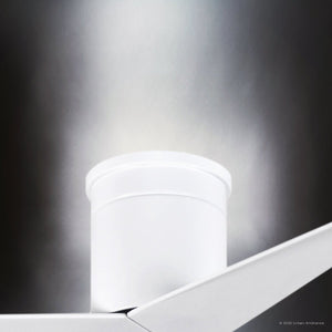 Urban Ambiance - Ceiling Fan - UMC9195 Contemporary Indoor/Outdoor Ceiling Fan, 10
