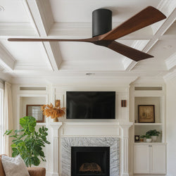 Urban Ambiance - Ceiling Fan - UMC9236 Modern Indoor/Outdoor Ceiling Fan, 10" H x 60" W x 60" D, Matte Black Finish, Aerwyn Collection - 