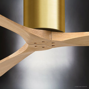 Urban Ambiance - Ceiling Fan - UMC9251 Minimalist Indoor/Outdoor Ceiling Fan, 10