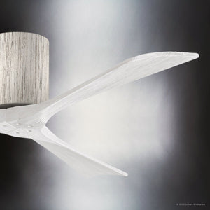 Urban Ambiance - Ceiling Fan - UMC9262 Natural Indoor/Outdoor Ceiling Fan, 10