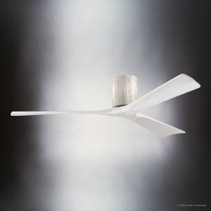 Urban Ambiance - Ceiling Fan - UMC9263 Minimalist Indoor/Outdoor Ceiling Fan, 10