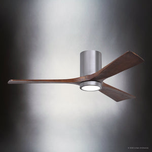 Urban Ambiance - Ceiling Fan - UMC9293 Contemporary Indoor/Outdoor Ceiling Fan, 12